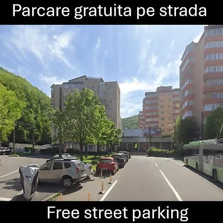 Alpine Chic Apartment